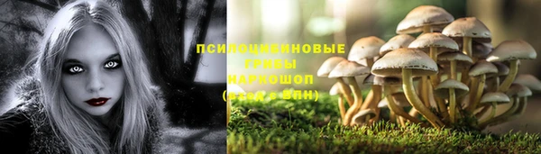 трава Аркадак