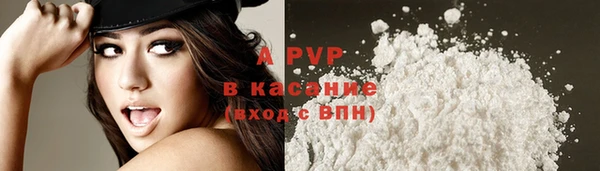 шишки Арсеньев