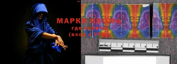 шишки Арсеньев