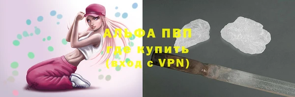 шишки Арсеньев