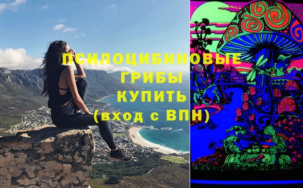 шишки Арсеньев