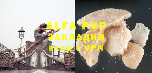 шишки Арсеньев