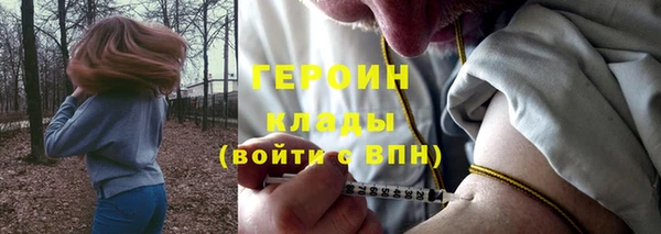 шишки Арсеньев