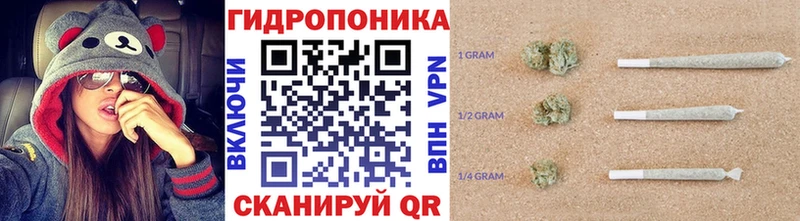 Каннабис SATIVA & INDICA  Теберда 